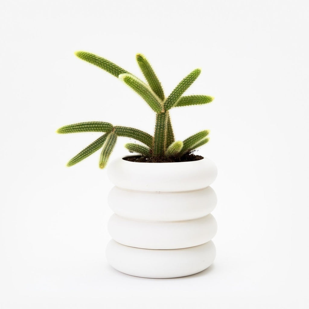 White Bubble Ribbed Planter by Areaware at Golden Rule Gallery