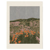 California Poppies Art Print by Coco Shalom at Golden Rule Gallery