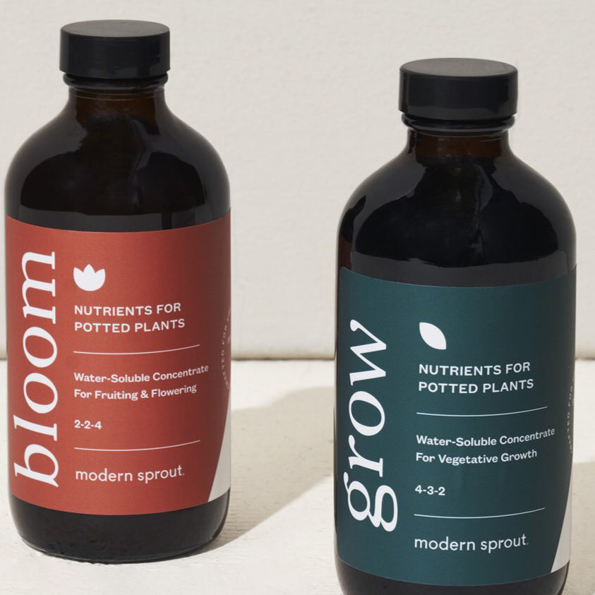 Flower Plant Nutrients | Golden Rule Gallery | Modern Sprout | Excelsior, MN