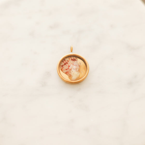 Spotted Pink Seashell Necklace Pendant in Brass