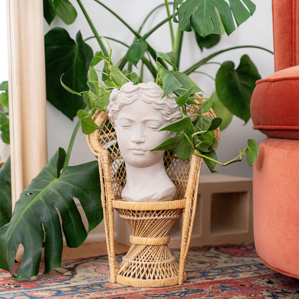 Vintage Small Wicker Chair for Plants