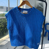 Blue Short Sleeved Sweater Top at Golden Rule Gallery 