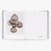Wired Sculptures By Ruth Asawa Art Book