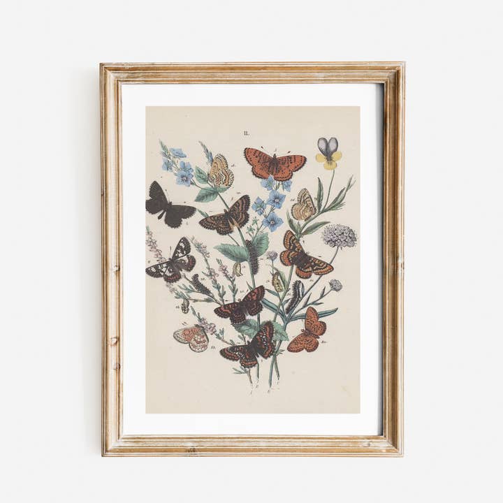 Vintage Butterflies Art Print