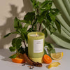 Basil Scented Fresh Candle