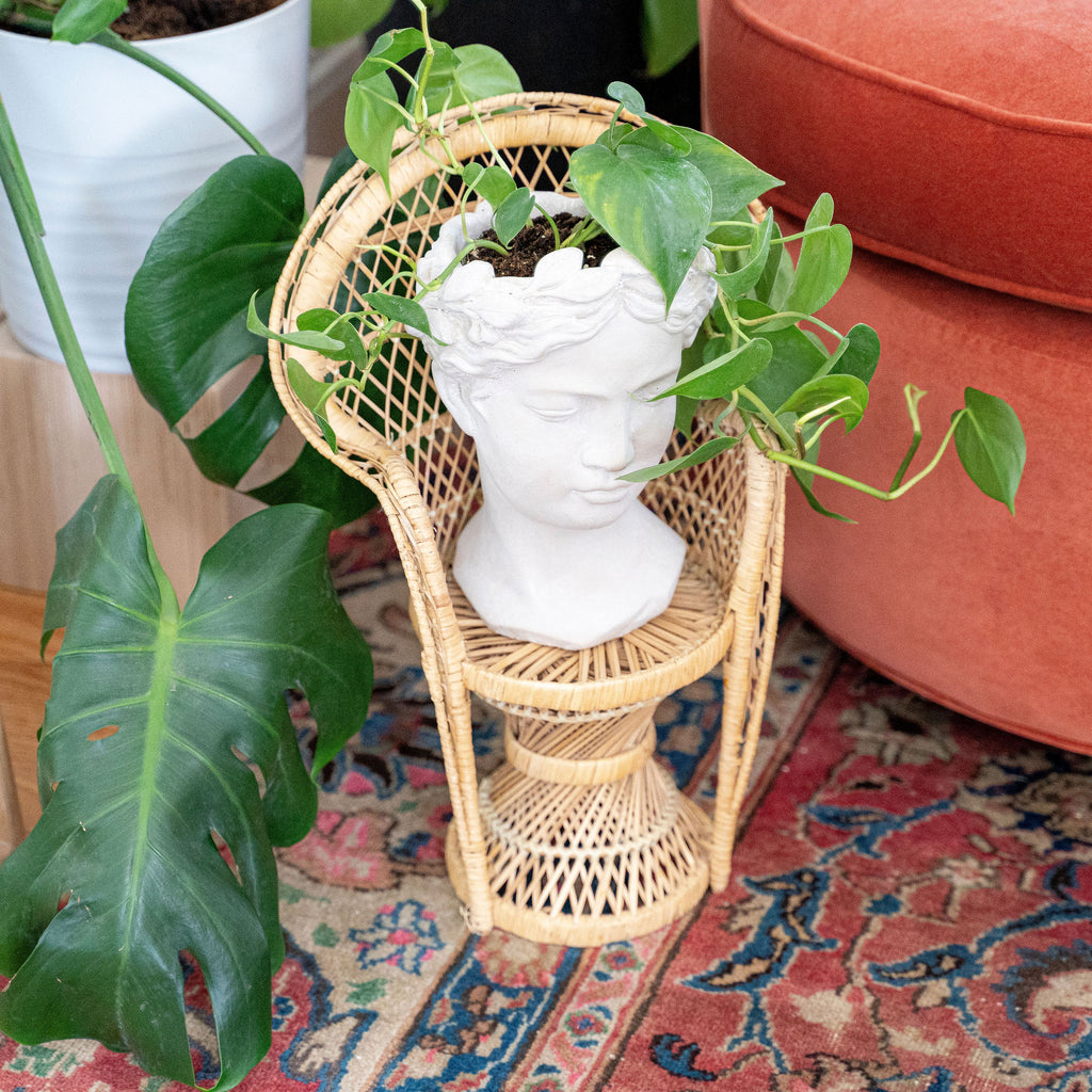 Small Vintage Rattan Chair for Plants