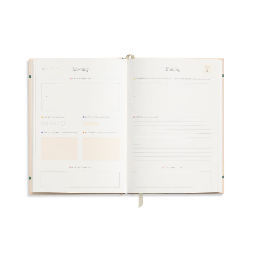 Daily Intentions in Guided Wellness Journal 