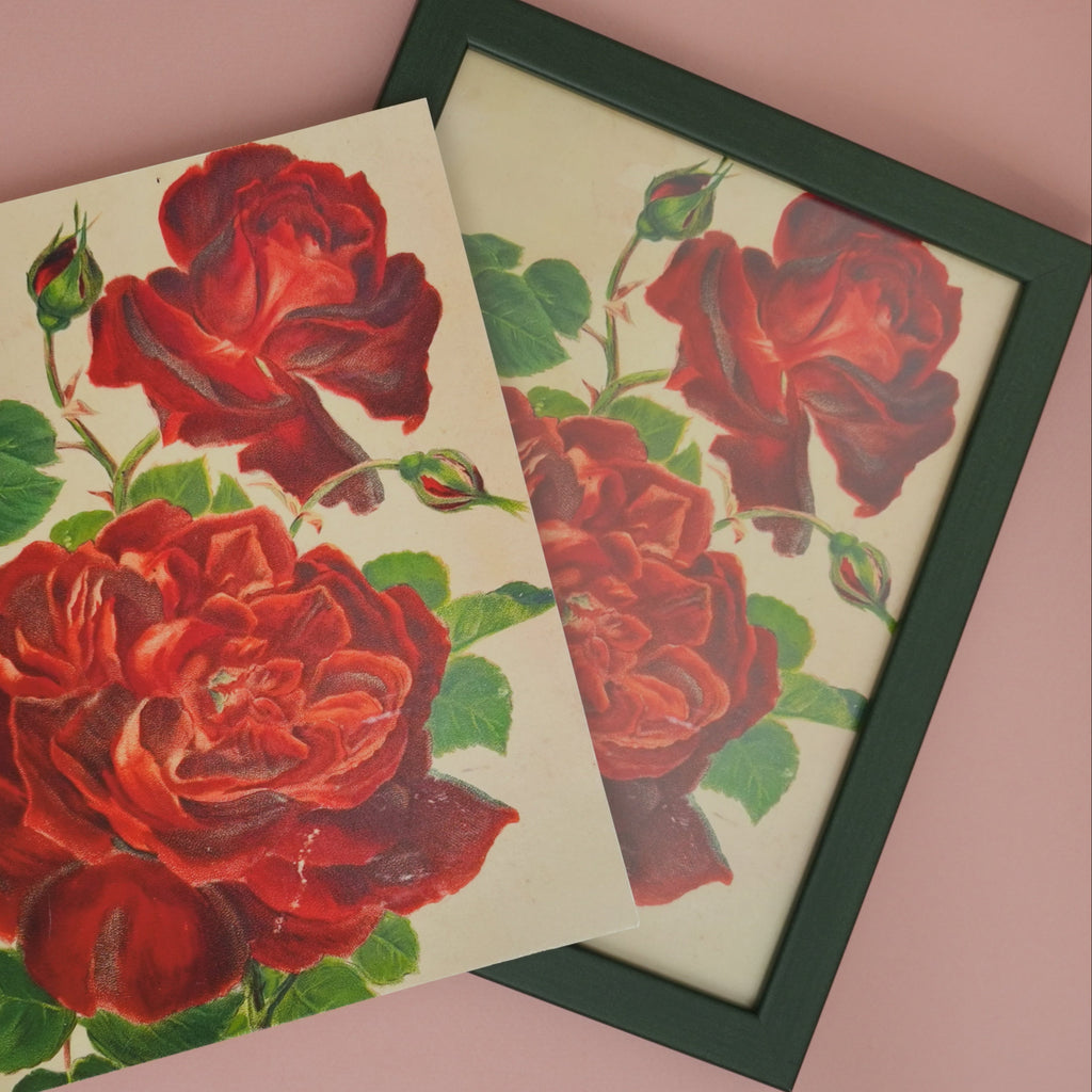 Framed artwork of red roses on a pink background