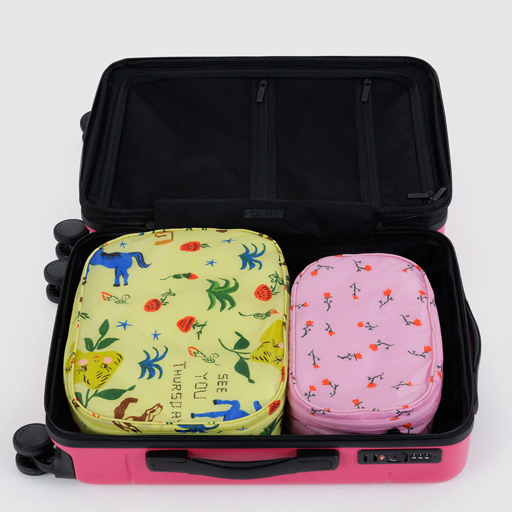 Baggu Packing Cube Set of 2 in Painted Prairie at Golden Rule Gallery
