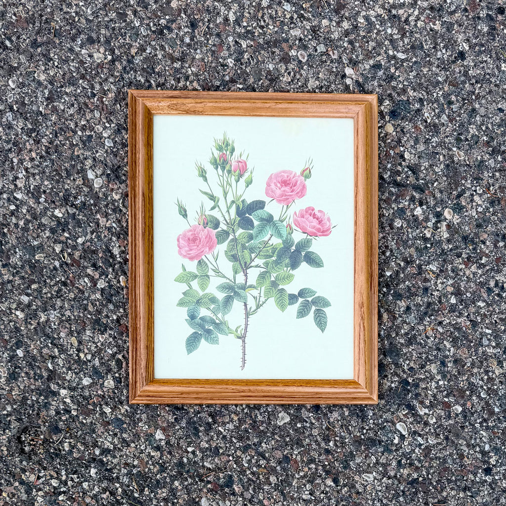 Framed botanical print of pink roses on a textured surface