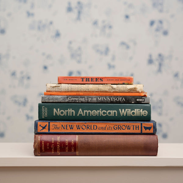 Antique 1897 "Library of the World's Best Literature" Books