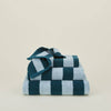 Sky Peacock Stripe Hawkins New York Towels