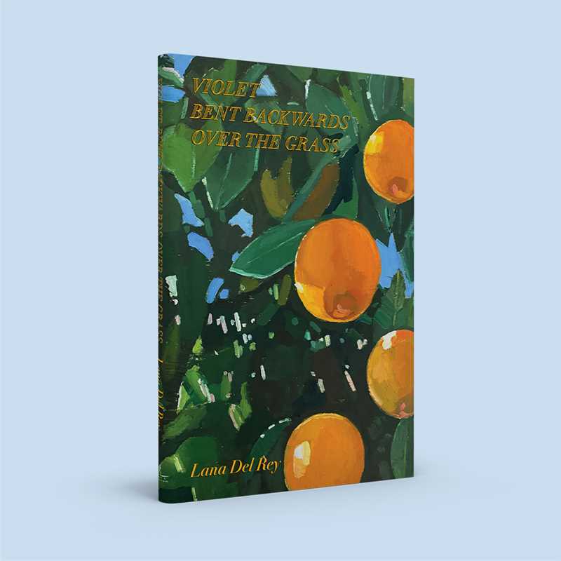 Poetry Book Written by Lana Del Rey
