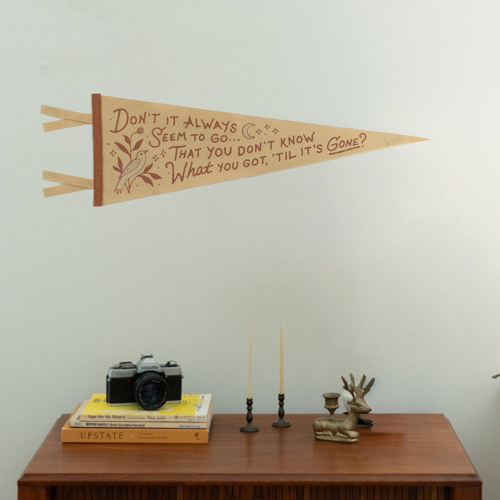 Don't It Always Seem To Go, That You Don't Know What You Got, 'Til It's Gone? Flag 