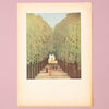 Rare Vintage 1940s Rousseau "Alleyway in the Park of Saint Cloud" German Offset Lithograph