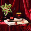 Decorative setup with a PF Candle candle, diffuser, and plant on a red fabric background