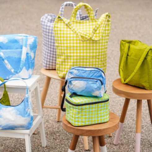 Collection of Spring Color Baggu Accessories