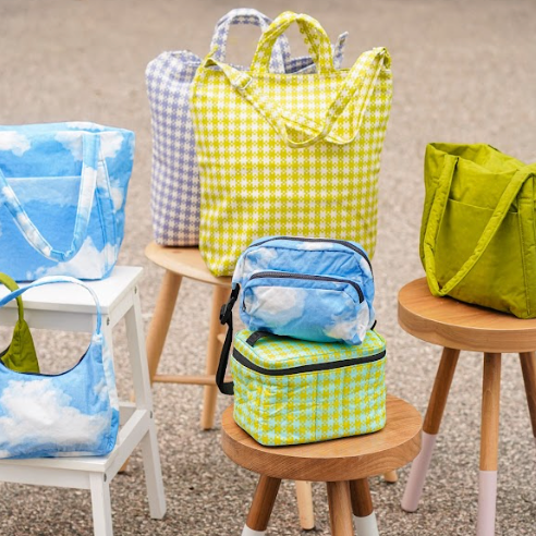 Styled Spring Colored Baggu Accessories