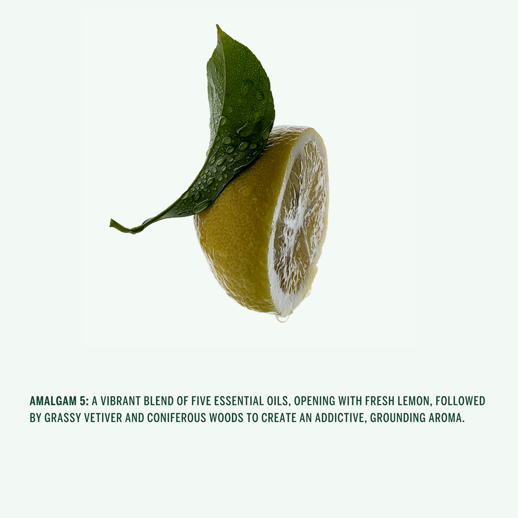 Half-cut lemon with a leaf on a white background, featuring text about 'Amalgam 5' hand cream scent.