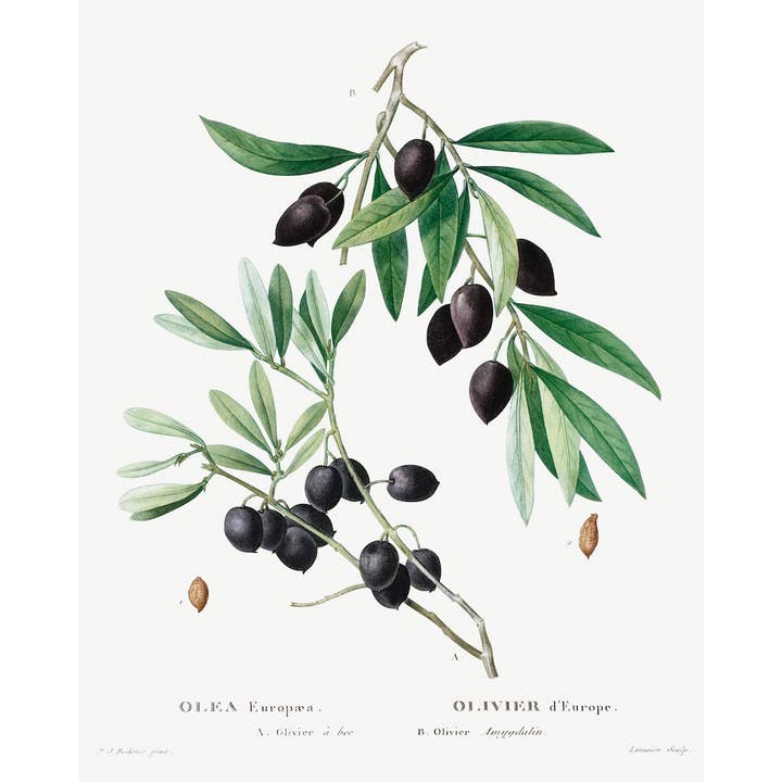 Olive Branch Art Piece