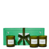 Douglas Fir Jasmine Damask Rose and Olive Tree Flamingo Estate Candles