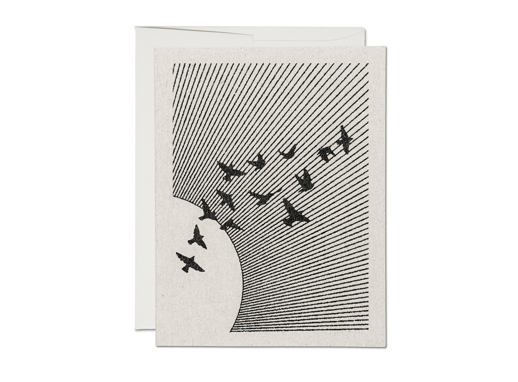 Flock of Birds Card | Red Cap Cards | Golden Rule Gallery | Excelsior, MN