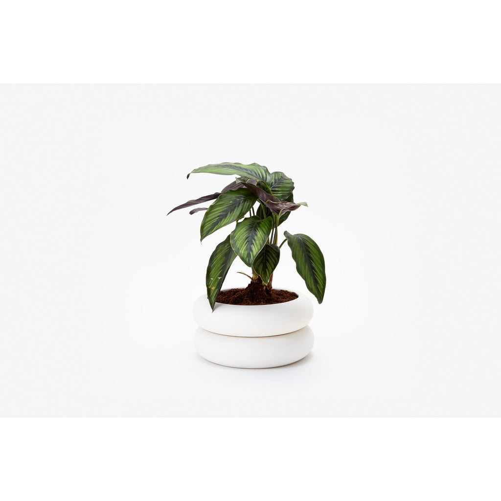 Small Shallow White Bubble Planter by Areaware at Golden Rule Gallery