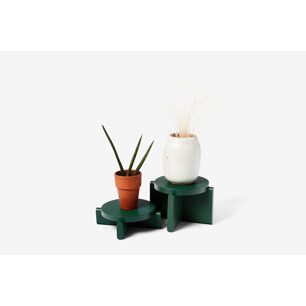 Plant Pedestals | Green Plant Stands | Natural Wool Plant Stands | Areaware | Golden Rule Gallery | Beechwood Plant Pedestals | Low Plant Stands | Excelsior, MN | Home 