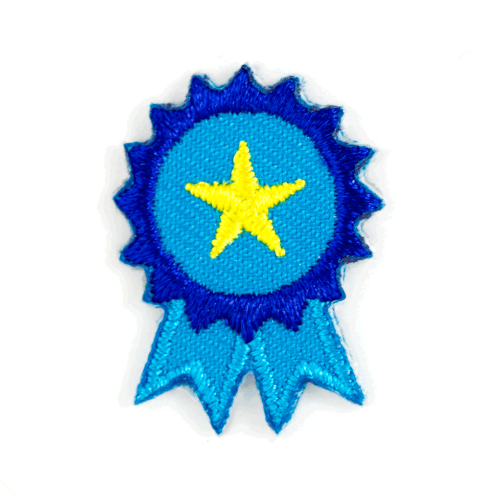 Blue Ribbon Patch | These Are Things Patches | Golden Rule Gallery | Excelsior, MN