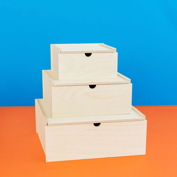 Birch Gift Box | Birch Wood Gift Box | Golden Rule Gallery | Excelsior, MN | WAAM Industries | Minnesota Artists