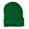 Beanie Hat | Rainbow Unicorn Birthday Surprise | Emerald Green | Golden Rule Gallery | Excelsior, MN |