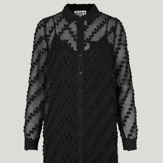Black Lulu Shirt Dress | JUST Female Apparel | Black Holiday Dress | Semi Transparent Dress at Golden Rule Gallery in Excelsior