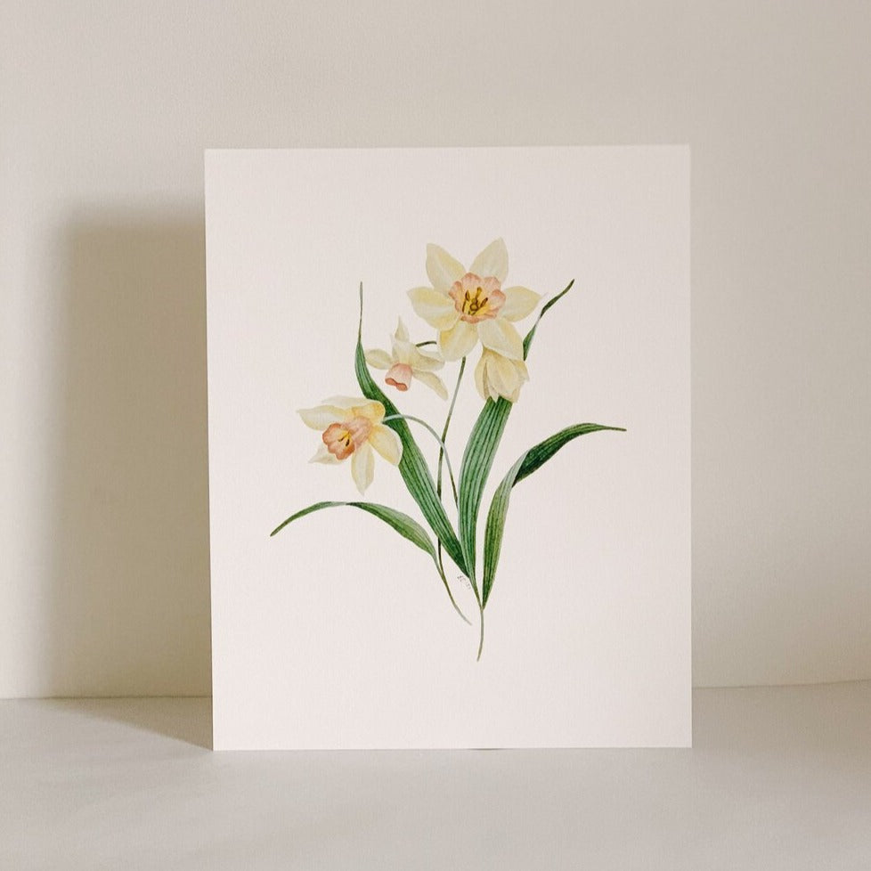 Daffodil in Watercolor Print | Esther Clark Art | Watercolor Flower Art Print | Golden Rule Gallery | Minnesota Artists | Excelsior, MN