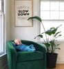 Slow Down Tea Towel Framed Hanging On Wall With Green Chair And Plant