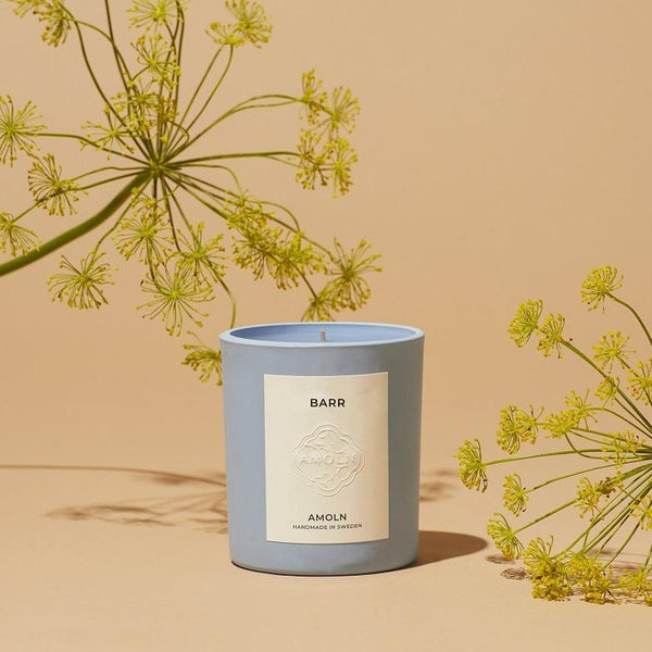 Amoln Barr Candle With Botanicals
