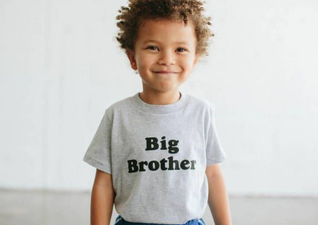 Heather Grey Big Brother Kids Tee Shirt by The Bee & The Fox at Golden Rule Gallery in Excelsior, MN