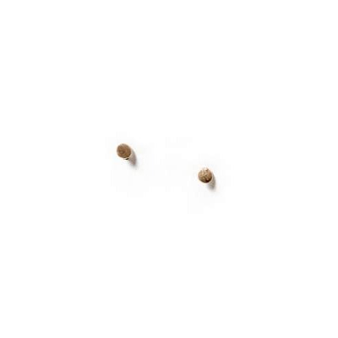 Tiny Dot Stud Earrings | Golden Rule Gallery | Excelsior, MN