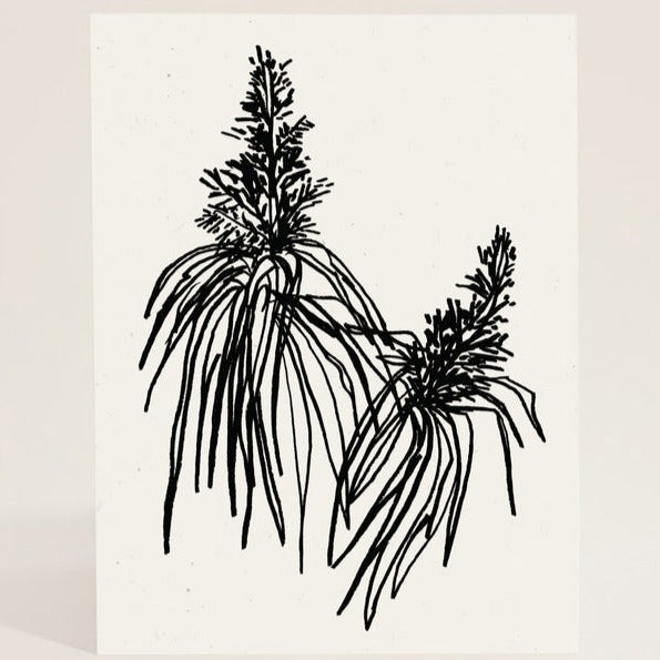 Black Botanical Art Print by Wilde House Paper at Golden Rule Gallery in Excelsior, MN