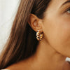 Brown and Cream Checkered Ray Hoop Earrings