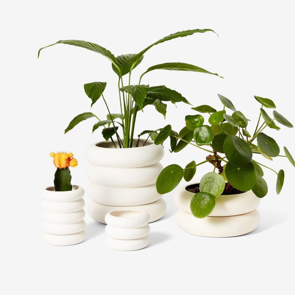 Stacking Planter Vases in All Sizes for Plants by Areaware