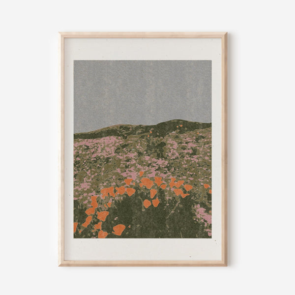 California Poppies Art Print by Coco Shalom at Golden Rule Gallery