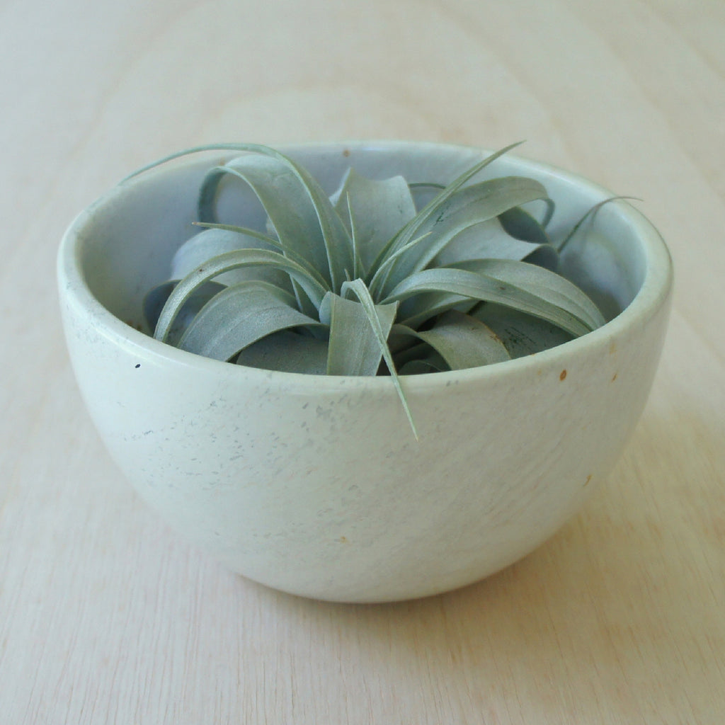 Handcrafted Soapstone Dish | Venture Imports | Soapstone Kitchen Bowl | Golden Rule Gallery | Excelsior, MN