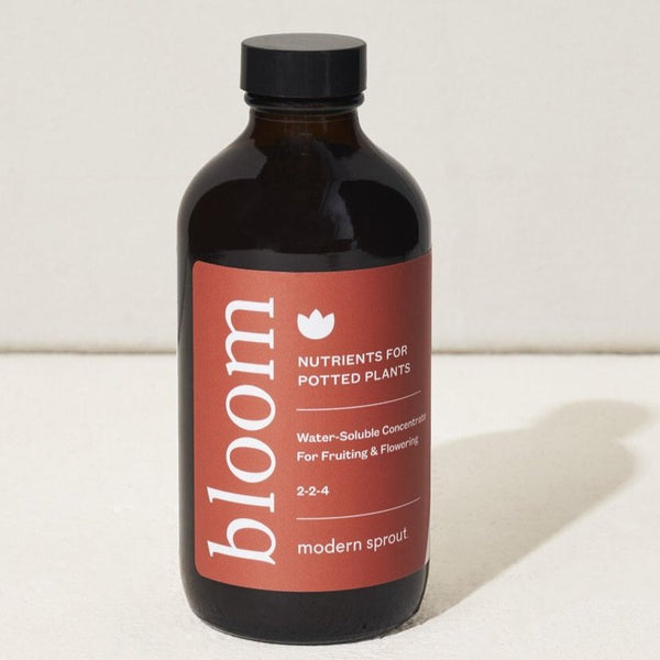 Bloom Plant Nutrients | Fruit and Flower Nutrients | Modern Sprout | Golden Rule Gallery | Excelsior, MN