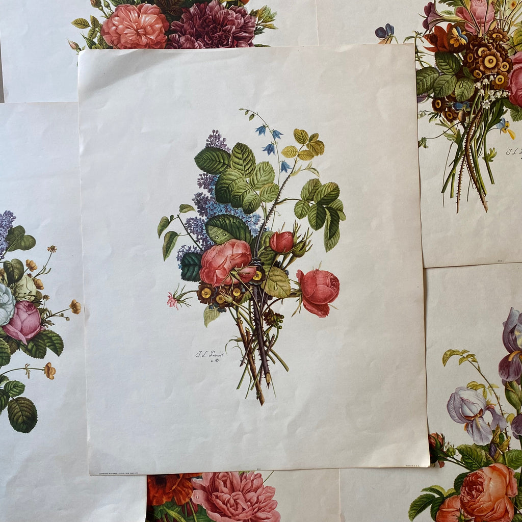 Vintage Floral Art Prints | Vintage 40s Flower Prints | Golden Rule Gallery | Excelsior, MN | Vintage French Floral Prints | Vintage Art Prints