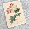 Vintage 1948 Floral Art Prints | Golden Rule Gallery | Vintage 1940s Flower Prints | Excelsior, MN