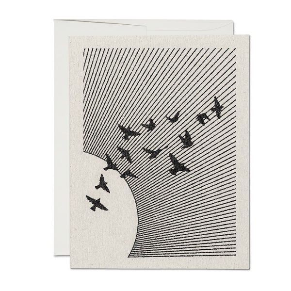 Flock Card | Hopeful Greeting Cards | Red Cap Cards | Golden Rule Gallery | Excelsior, MN
