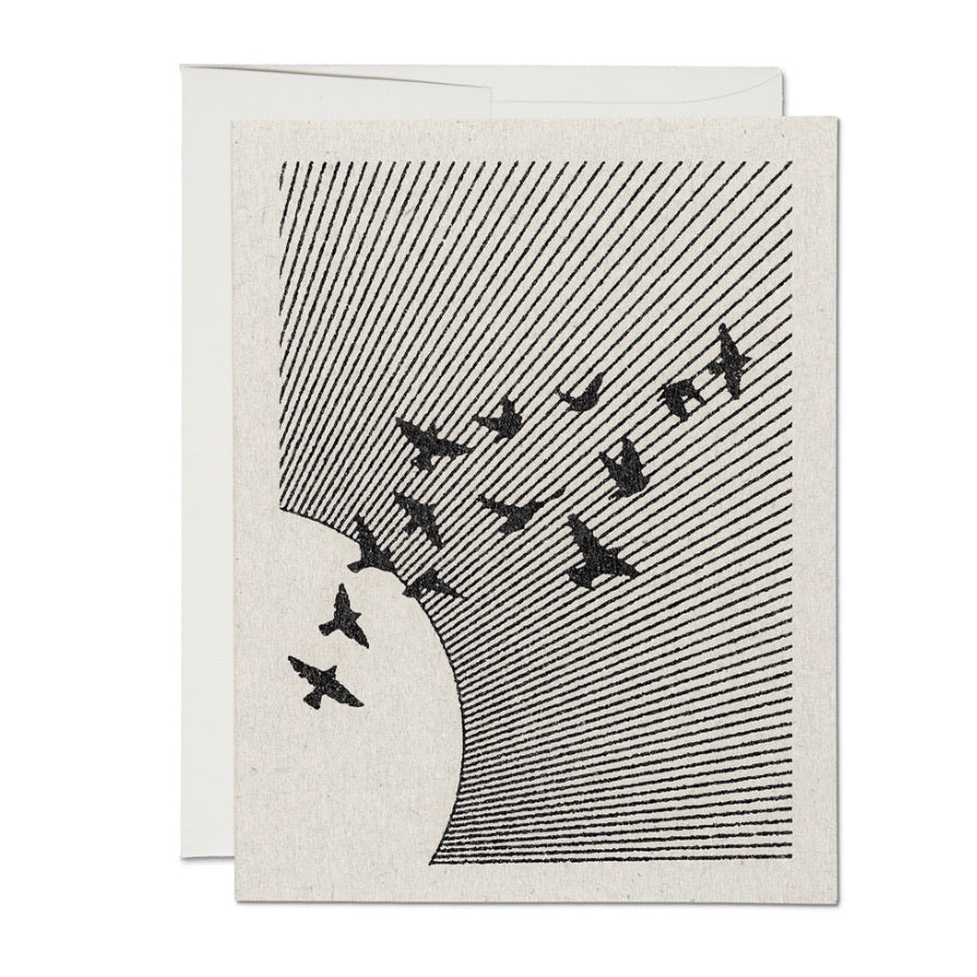 Flock Card | Hopeful Greeting Cards | Red Cap Cards | Golden Rule Gallery | Excelsior, MN