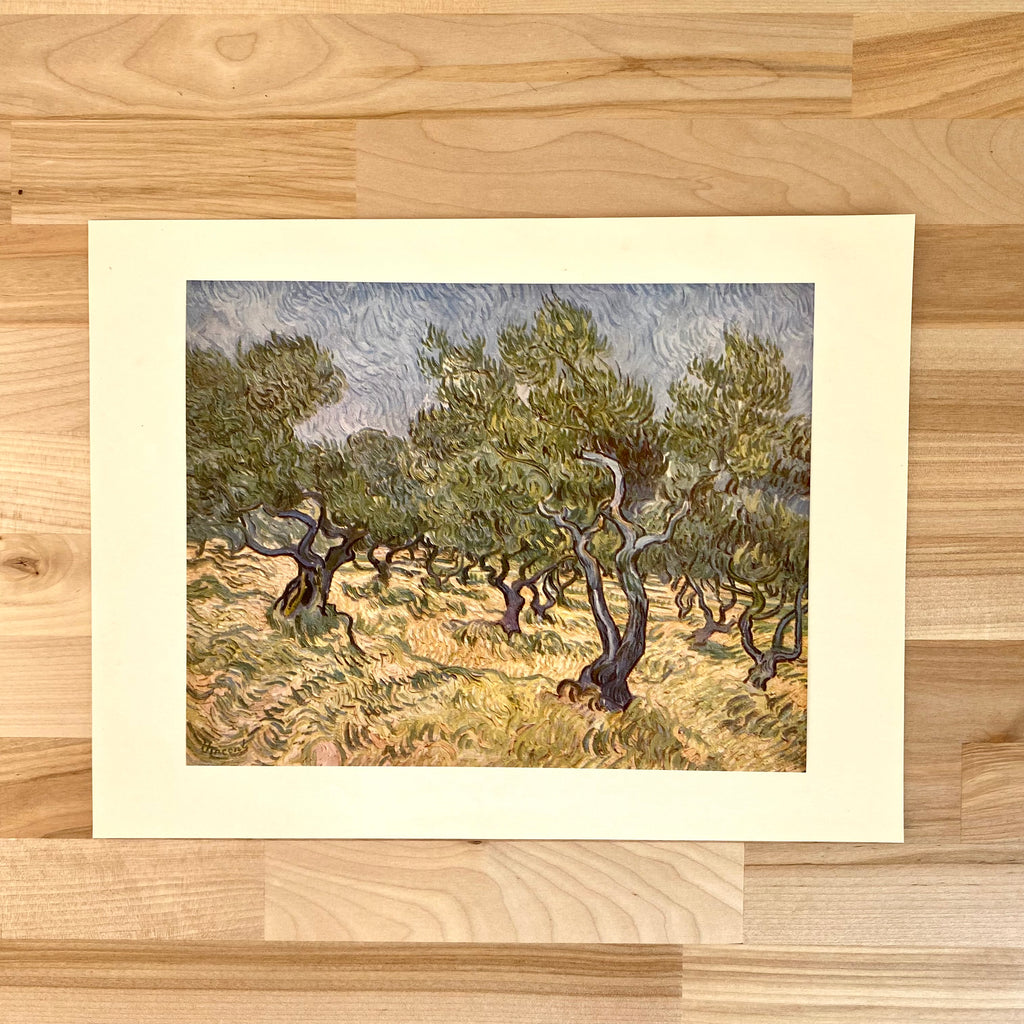 Van Gogh Lithograph Art Print | Olive Orchard | Vintage Collectible Landscape Art Print | Golden Rule Gallery | Excelsior, MN | 50s Van Gogh Offset Lithograph | Olive Orchard Van Gogh Print | MPLS Art Gallery