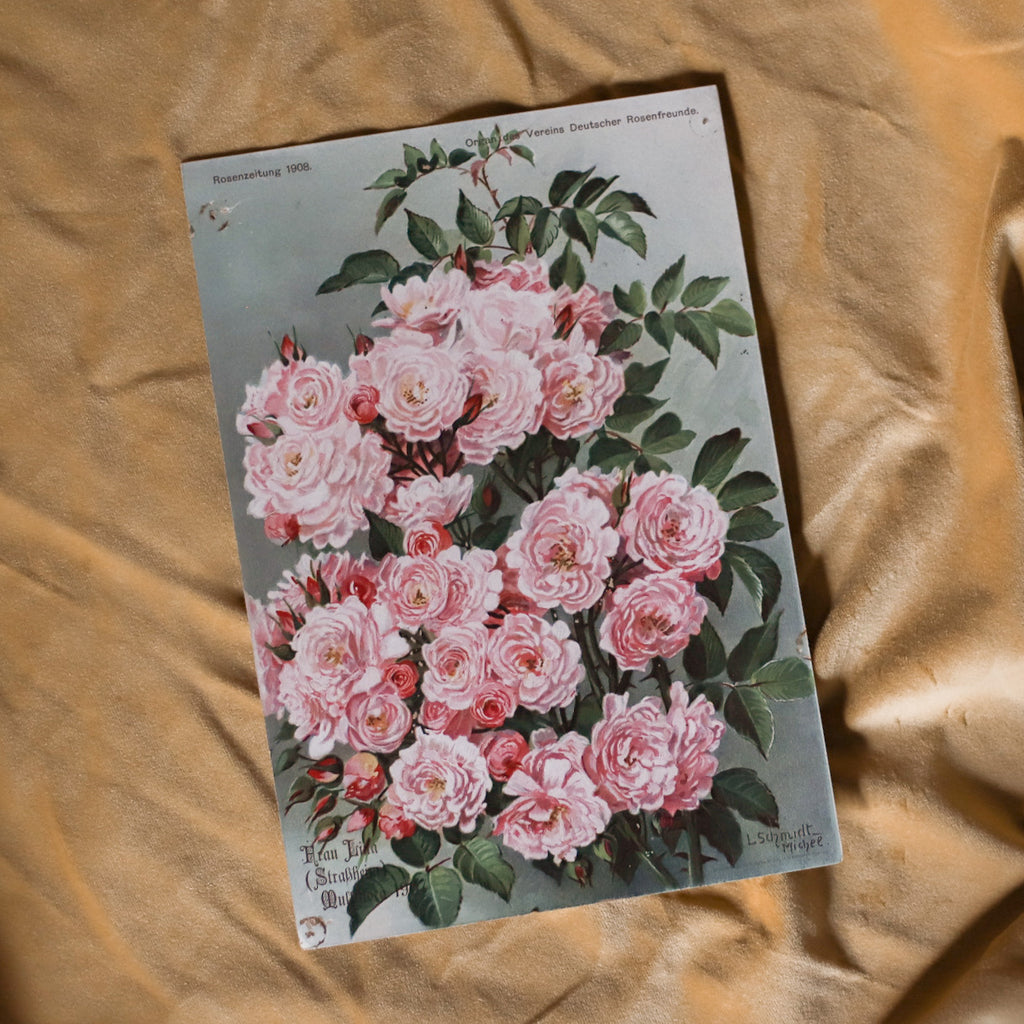 Antique Vintage Pink Floral Art Prints