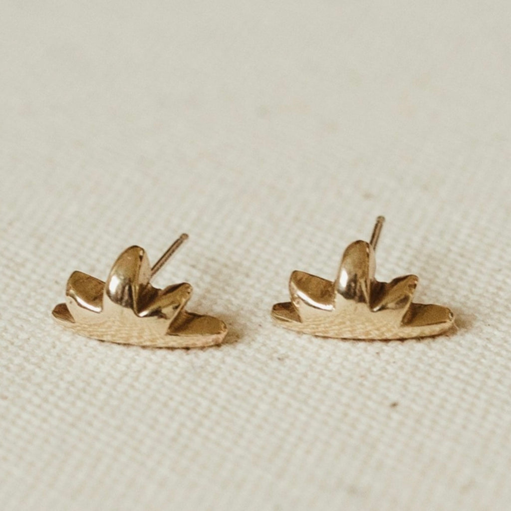 Brass Earrings by Kiki Koyote